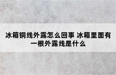 冰箱铜线外露怎么回事 冰箱里面有一根外露线是什么